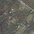 Deer reported in roadway on Poland Range Road