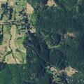 Person with diabetic problem at Rattlesnake Road