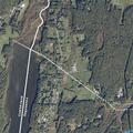 Man falls from tree and trapped near Lakeside Drive