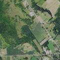 Neighbor’s dog attack kills beagle in Denmark