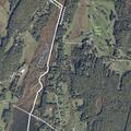 86-year-old female falls near Ridge Road
