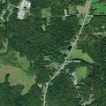 Loose cows creating road hazard near Indian River