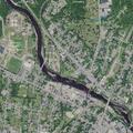 Possible suicide subject at Coffee St and Cedar St