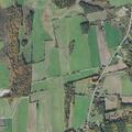 98-year-old woman fall detected near Munson Road