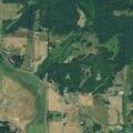Elderly woman with severe stomach pain at rural property