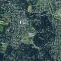 61-year-old man having multiple seizures at Eugene home
