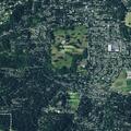 Woman having seizure with stroke history in Eugene