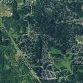 Person with back pain near Timberbrook Way