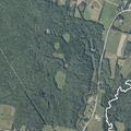 Noise complaint about field party near Main Road