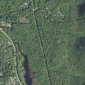Accidental 911 pocket dial from hiker in woods