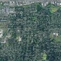 81-year-old woman faints and falls at home in Eugene
