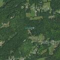 Tree fire brings down power lines on Fairy Lake Road