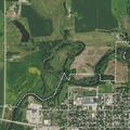 Loose dog causing traffic hazard on Pipestone