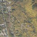 Juveniles reported out of control, yelling and screaming near Burdette Road in Bartlett