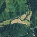 Complaint over chainsaw use on Nelson Mountain Road