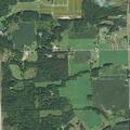 Woman vomiting near Boxwood Road in Warrens