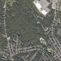 Woman with back pain near Woodlawn Avenue in Auburn