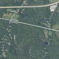 Report of possibly injured or pregnant deer