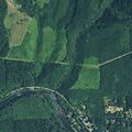 diabetic patient reported near milepost 34 on mckenzie highway