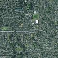 Intoxicated woman with suicidal thoughts near Eugene