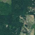 70-year-old woman unable to rise at home in Oregon