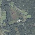 Complaint about hazardous tree near roadway