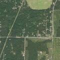 Neighbor reports barking dogs at mobile home lot