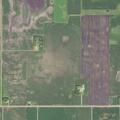 Field and crop fire near Lake Hanska