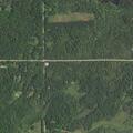 Person fell from tree stand in Gladwin woods
