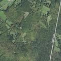 Woman with possible broken foot near Old Stage Coach Road