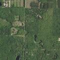 Elderly woman weak and unable to walk in Wellston