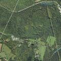 Infant with possible allergic reaction on Pearl Lake Road