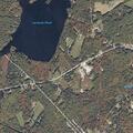 Injured dog reported near Route 17 and Main Street