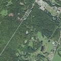 Man having seizure and unconscious at Bunny Lane
