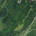 Person injured after fall near Branch Road