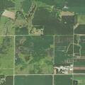 Smoking pine trees at research center