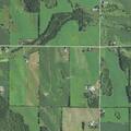75-year-old woman has allergic reaction at Morrison Rd