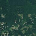 Elderly man with back and abdominal pain in Marcola