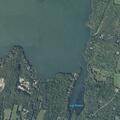Large tagged animal spotted near buoy off Larry Dr