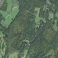 Single car hits fallen tree on Lower Road