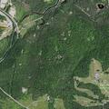 Female feeling dizzy near Boulderwood Road in Lake Placid