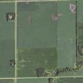 Person in crisis near 140th Street, Walnut Grove