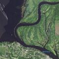 Aggressive dog reported near Wolf River Dr