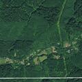 Person fallen near Yachats River Road