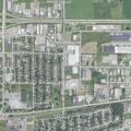 Loose dogs reported on Cedar Street