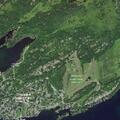 84-year-old woman with rapid heart rate in Thousand Island Park