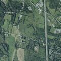 Welfare check on teens after near road incident
