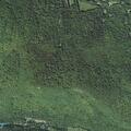Unresponsive female reported near Hinesburg