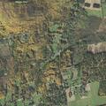 Woman in sixties with racing heart and dizziness in Vermont