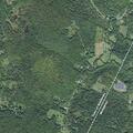 Elderly woman found confused after fall in Middlesex